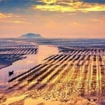 Manuel Saavedra avatar